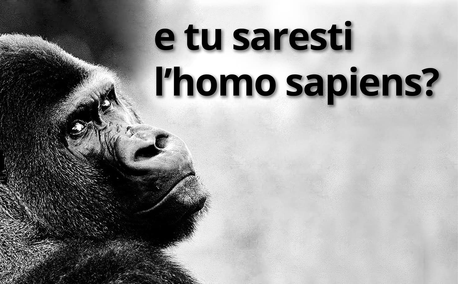 stop vivisection