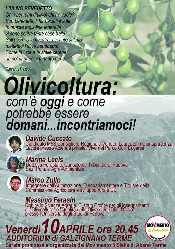 Olivicoltura: com'è oggi e come potrebbe essere domani...Incontriamoci" @ Galzignano Terme | Veneto | Italia