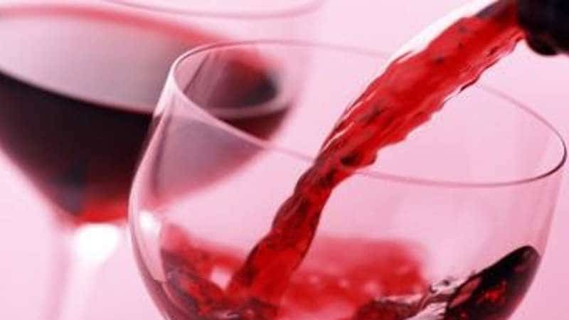 lambrusco marco zullo m5s europa