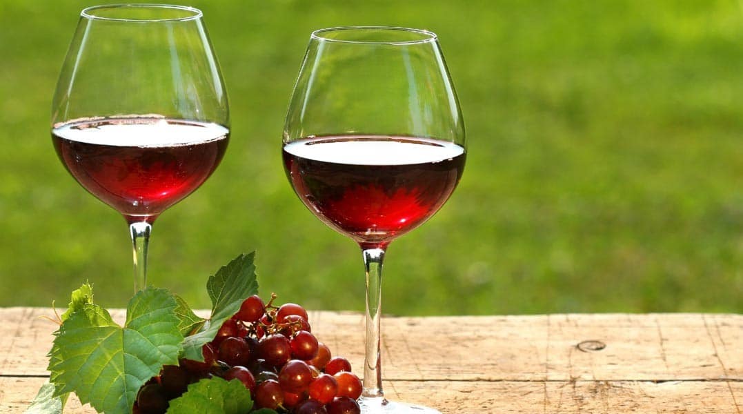 Marco Zullo M5S lambrusco vitigno