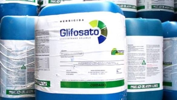 Marco Zullo M5S Europa stop glifosato