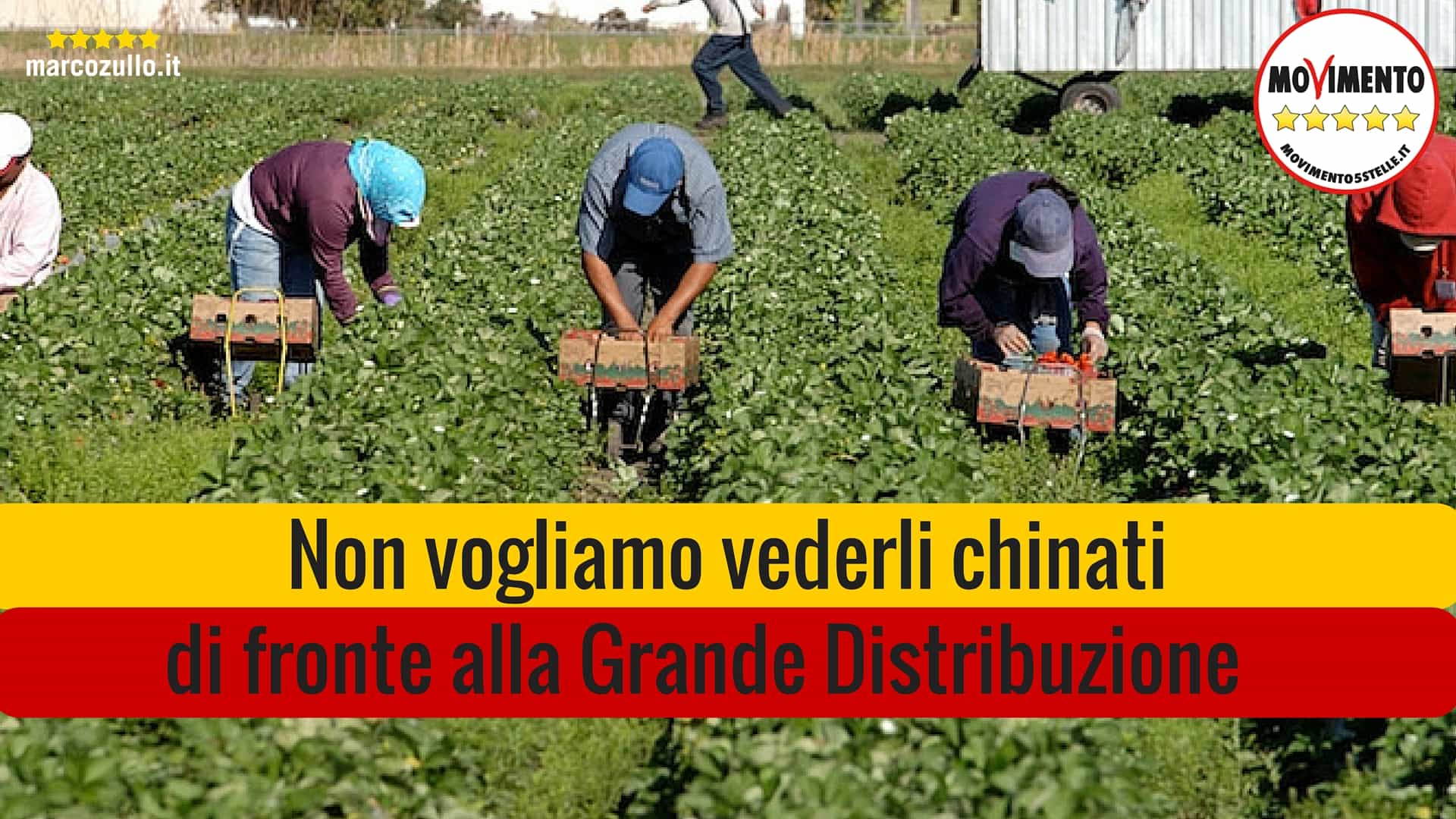 Marco Zullo M5S Europa pratiche commerciali sleali agricoltura grande distribuzione