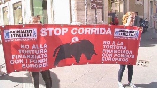Marco Zullo M5S Europa stop corride