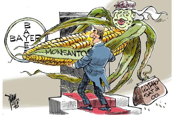 Marco Zullo M5S Europa glifosato bayer monsanto