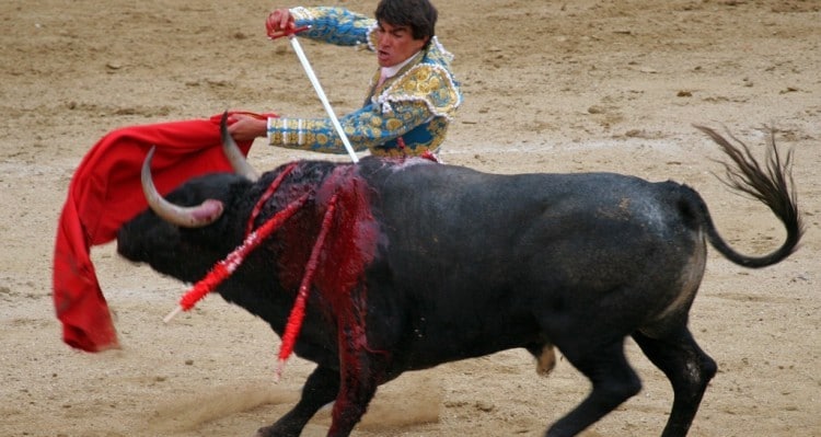 Marco Zullo M5S Europa finanziamenti corrida tori