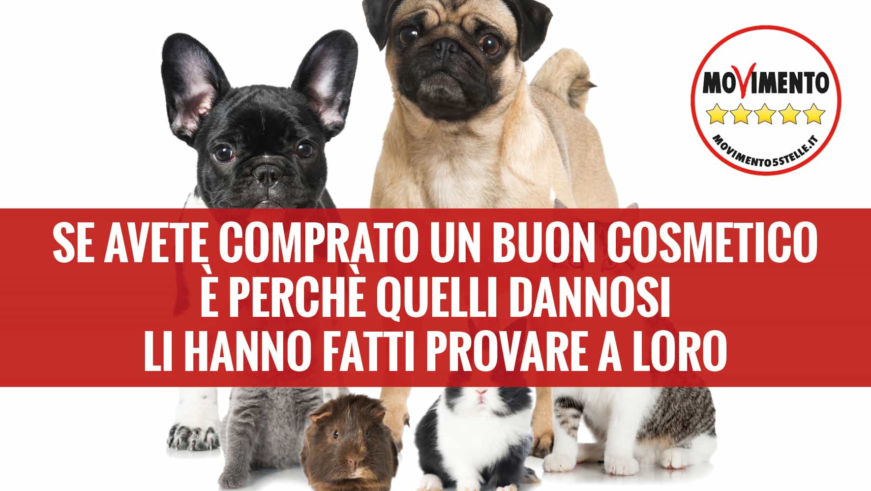 Marco Zullo M5S Europa tutela animali cosmetici