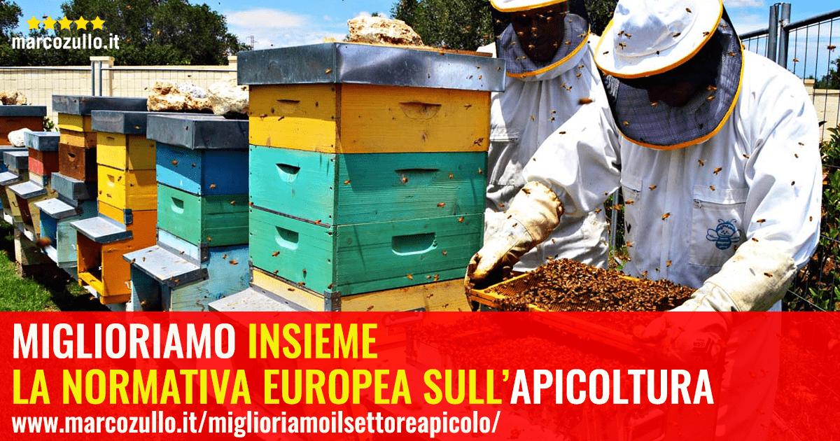 Miglioriamo insieme la normativa europea sull'apicoltura! immagine