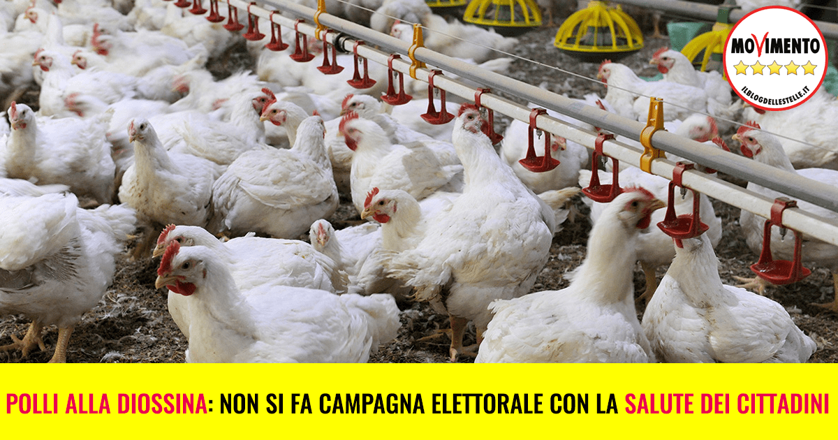Polli alla diossina di Maniago