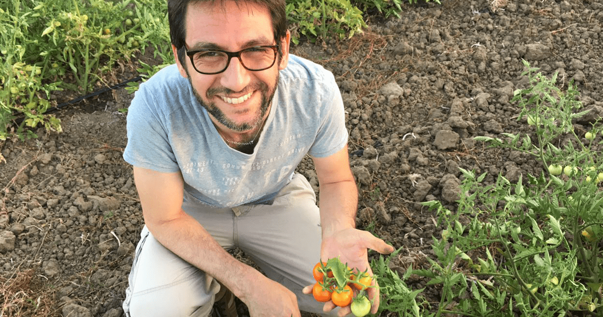 Marco Zullo in un campo biologico