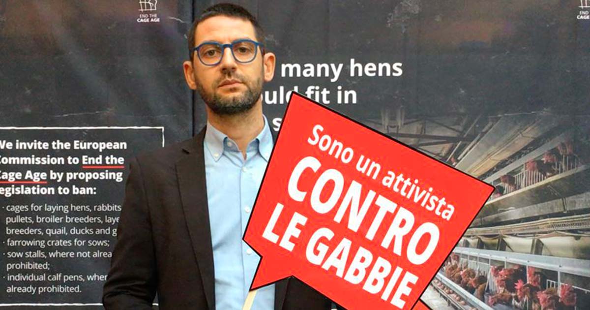 #EndTheCageAge - Firma contro gli allevamenti in gabbia!