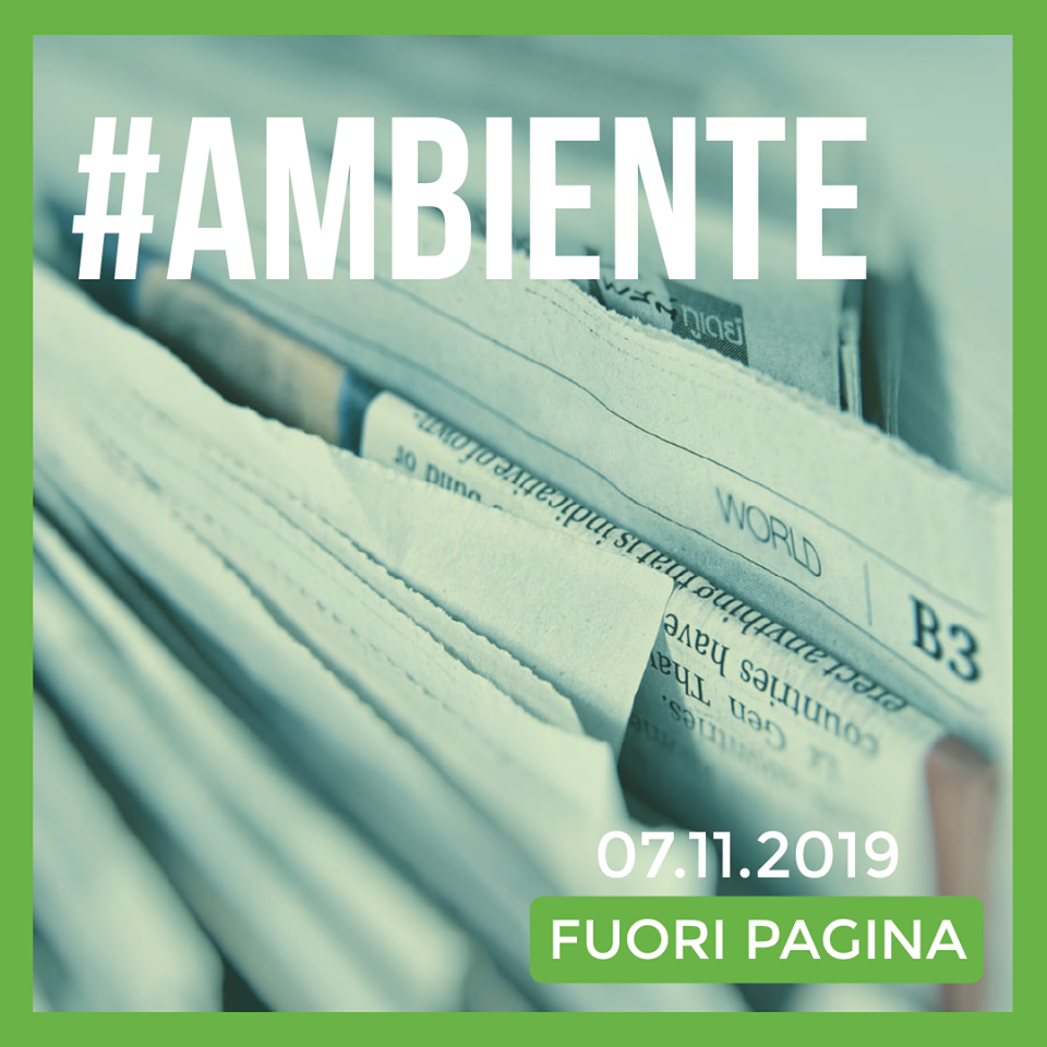 ambiente fuori pagina marco zullo